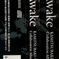 KAMITSUBAKI x Monark Album「Awake」 Awake: KAMITSUBAKI×Monark Collaboration Album (2021) MP3